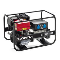 Groupe &eacute;lectrog&egrave;ne Endurance.